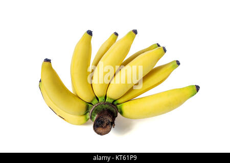 Lady FInger Banane. Stockfoto