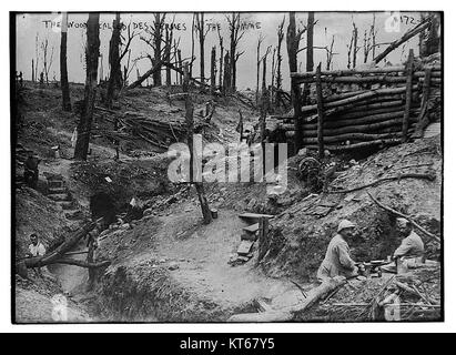Ein Foto des Waldes namens des Fermes in der Somme-Region. Das Bild zeigt die natürliche Landschaft des Gebiets und hebt die dichten Bäume und die Waldlandschaft hervor, die für diese Region in Frankreich charakteristisch sind. Stockfoto