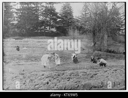 Vassar Mädchen im Sommer (25959865321) Stockfoto