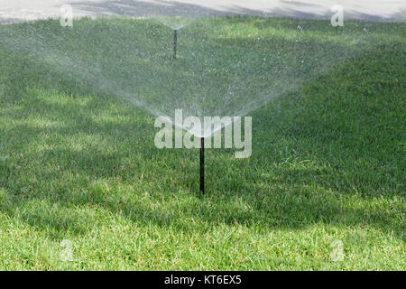 Sprinklerschutz spritzen Strom von Wasser auf saftig grünen Gras Stockfoto