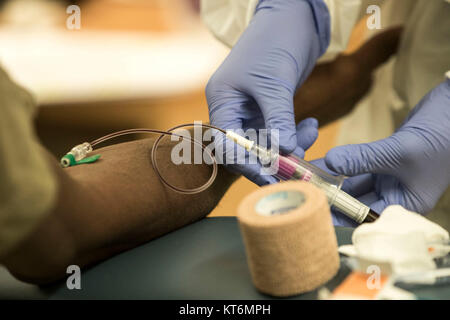 Spc. Tracy Ortiz, 7417Th Truppe Medizinische Klinik, zieht Blut während der Soldat Bereitschaft Verarbeitung am Fort Belvoir Community Hospital, 10.12.2017. Der 7417Th Truppe Medizinische Klinik ist eine der vielen Einheiten, die Armee finden Medizinische Befehl fallen. Es gibt rund 8.200 Soldaten für die mehr als 100 Einheiten ARMEDCOM's in den Vereinigten Staaten gelegen sind. (U.S. Armee Stockfoto