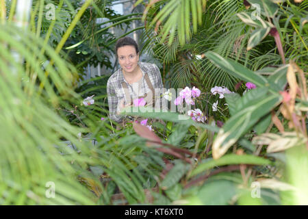 glückliche Frau mit Blumen im Gewächshaus Stockfoto