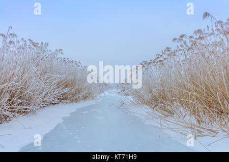 Comana See im winter Stockfoto