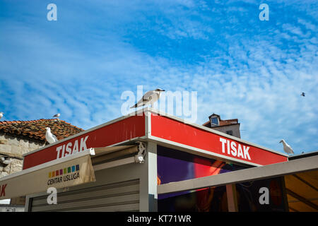 Möwen barsch auf dem Dach des frischen Fleisches produzieren und Markt in der Nähe von Riva Uferpromenade in Split Kroatien Stockfoto