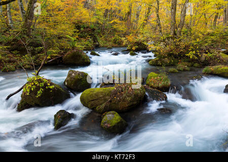 Wasserfall in Oirase Stream von towada Stockfoto