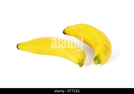 Lady FInger Banane. Stockfoto