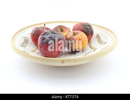 Fauler Apfel auf Platte Stockfoto