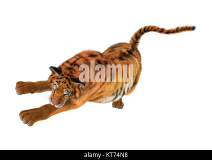 3D-Rendering Big Cat Tiger auf Weiß Stockfoto