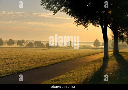 Feldweg Im Morgennebel - Morgennebel in einer rular Gegend, kleine Straße Stockfoto