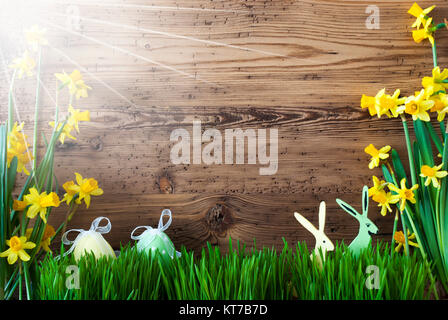 Holz- Hintergrund mit englischem Text Happy Weekend. Ostern Dekoration wie Ostereier und Osterhasen. Sonniges Gelb Spring Flower Narcisssus mit Gras. Karte für Seasons Greetings Stockfoto