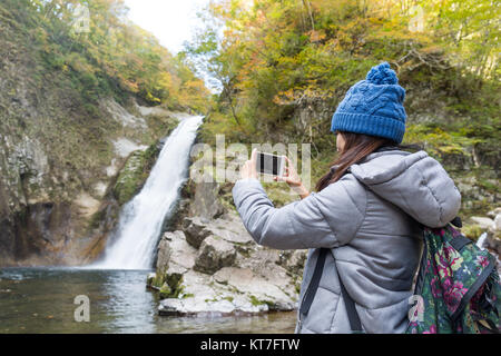 Frau unter Foto per Handy im Wald Stockfoto