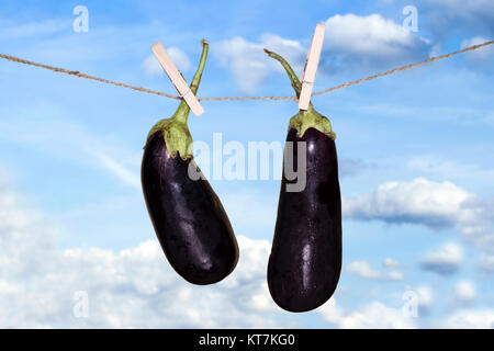 Aubergine hängend an einem Seil Stockfoto