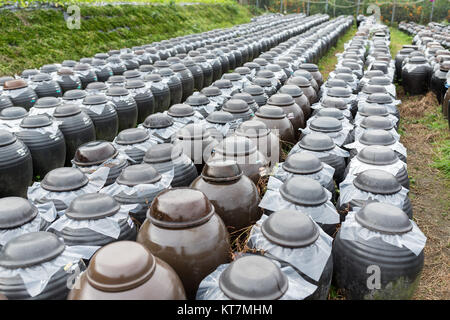 Essig in Barrel Store im Freien Stockfoto