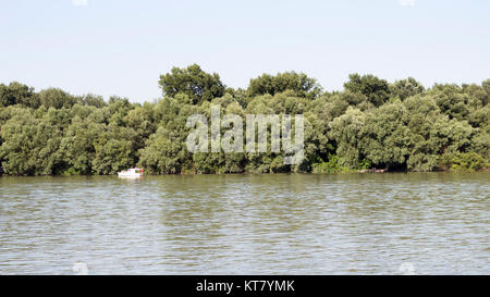 Donau mit Fischerboot und Baumgrenze im Hintergrund Stockfoto