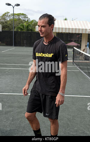 BOCA RATON, FL - 20. NOVEMBER: Rocker Gavin Rossdale wird gesehen, Tennis spielen, ohne seinen Ehering nach von Frau Gwen Stefani Im Boca Raton Resort Tennis Center split für die 26. jährlichen Chris Evert/Raymond James Pro-Celebrity Tennis Classic, Boca Raton, Florida. Personen: Gavin Rossdale Stockfoto