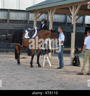 WELLINGTON, FL - MÄRZ 01: (exklusive Deckung) Ehemaliger Bürgermeister von New York Michael Bloomberg's Tochter Georgina Bloomberg Ende einer enttäuschenden 32. Wie Sie Teilnehmer der $ 150.000 Lugano Diamanten Grand Prix mit ihrem Pferd Lilli im Winter Equestrian Festival in Palm Beach International Equestrian Center am 1. März 2015 in Wellington, Florida Personen: Georgina Bloomberg Stockfoto