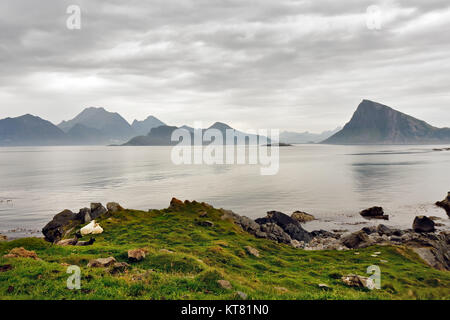 Norwegen Insel im Dunst. Bewölkt Nordic Tag. Stockfoto