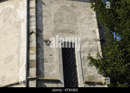 Niederzirking,st. marienkirche,Wallfahrtskirche,Annahme,ried in der riedmark,Quellheiligtum,Mittelalter Stockfoto