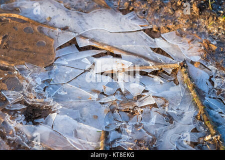 Risse Ice-Covered Pfütze auf einem Fußweg in Barnwell Country Park, Oundle, Northamptonshire Stockfoto