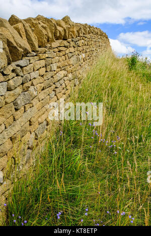 Cotswold Stone Wall, neben dem Cotswold Way, folgt den Konturen der Hügel, Broadway Tower, in der Nähe von Broadway, die Cotswolds, England Stockfoto