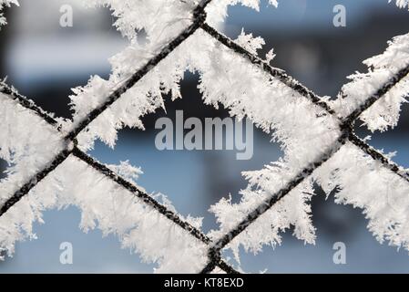 Rusty Gitterzaun mit Frost und Raureif mit unscharfen Hintergrund im Winter abgedeckt Stockfoto
