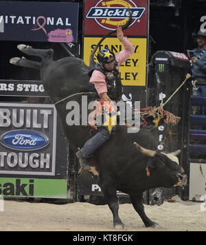 HOLLYWOOD FL - 12. Oktober: Die Professional Bull Riders einen 27.Event, das mit dem 2013 gebauten Ford haltbare Serie Zeitplan hinzugefügt haben. Die Hard Rock Live in Hollywood, Fla., bewirtet die letzten regulären Saison bei den weltweit gro§ten Erdolforderlandern zahlt Premiere Bullenreiten Serie knapp zwei Wochen vor seiner 2013 WM-Finale in Las Vegas im Hard Rock Live im Seminole Hard Rock Hotel & Casino am 12. Oktober 2013 in Hollywood, Florida statt. Personen: Professional Bull Riders Stockfoto