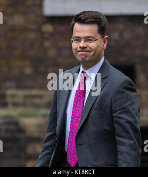 Führer der DUP, Arlene Foster und Sinn Féin, Gerry Adams Premierminister Theresa May und Nordirland Staatssekretär James Brokenshire bei 10 Downing Street mit: James Brokenshire Wo: London, Großbritannien Wann: 21 Aug 2017 Quelle: WENN.com Stockfoto