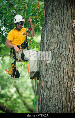 Kevin von Joshua Tree hilft Beleuchtung Schutz auf einem Baum in Arlington National Friedhof während der Nationalen Vereinigung der Landschaft Professionals' 19. jährliche Erneuerung installieren und Erinnerung auf dem Arlington National Cemetery, 16. Juli 2015. Über 400 freiwillige Helfer arbeiteten auf 200 von 624 Der Friedhof morgen. Ein Teil der Arbeit getan wurde, Mulchen, Beschneiden, belüften, Pflanzung, Kalken und Anwendung von Gips. (U.S. Armee Foto von Rachel Larue/freigegeben) Stockfoto