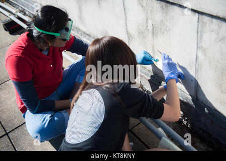 Sadhana Suri, Senior, und Kelly Cho, Senior, von der Biotechnologie Labor an der Thomas Jefferson High School für Wissenschaft und Technologie einen Biofilm Forschungsprojekt auf dem Dach des Memorial Amphitheater auf dem Arlington National Cemetery, Arlington, Virginia, Okt. 20, 2017. Stockfoto