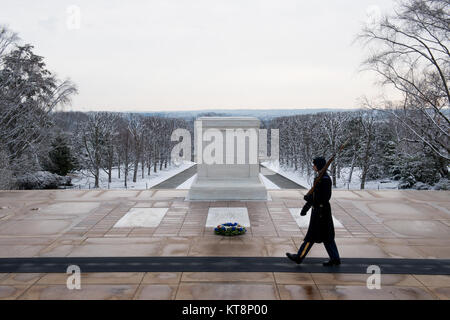 Grab Sentinels, Teil des 3D-US-Infanterie Regiment (Die Alte Garde), Teil in einem Wachwechsel Zeremonie am Grab des Unbekannten Soldaten in den nationalen Friedhof von Arlington, Jan. 30, 2017 in Arlington, Virginia. Das Grab Sentinels nimmt Guard das Grab 365 Tage im Jahr bei jedem Wetter. (U.S. Armee Foto von Rachel Larue/Arlington National Cemetery/freigegeben) Stockfoto