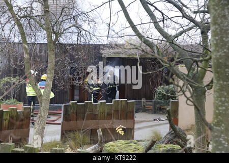 London, Großbritannien. 23 Dez, 2017. London Zoo Feuer, wo 70 Feuerwehrmänner Credit: Fantastische Kaninchen/Alamy Leben Nachrichten reagiert Stockfoto