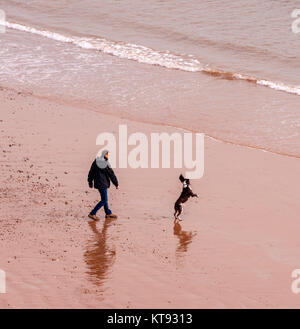 Honiton, Devon. 23 Dez, 2017. UK Wetter: ein Mann seine Hunde am Strand atSidmouth, Devon, an einem milden und ruhiger Tag. Stürme Dylan und Eleanor, die vierte und fünfte namens Sturm des Jahres, sind durch strenge Bedingungen am zweiten Weihnachtsfeiertag nach Großbritannien zu bringen. Credit: Foto Central/Alamy leben Nachrichten Stockfoto