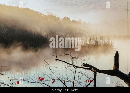 Fantastische Foggy River mit frischem grünem Gras in der Sonne. Stockfoto