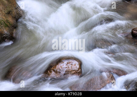 Wasser fließt, um die Felsen in Roaring Fork Creek entlang der Roaring Fork Motor Tour in der Great Smoky Mountains National Park Tennessee USA Stockfoto