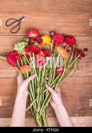 Ranunkulyus Bouquet von roten Blüten auf einem hölzernen Hintergrund Stockfoto