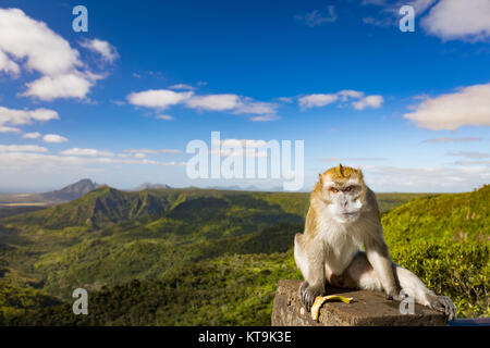 Affe auf die Schluchten Aussichtspunkt. Mauritius. Panorama Stockfoto