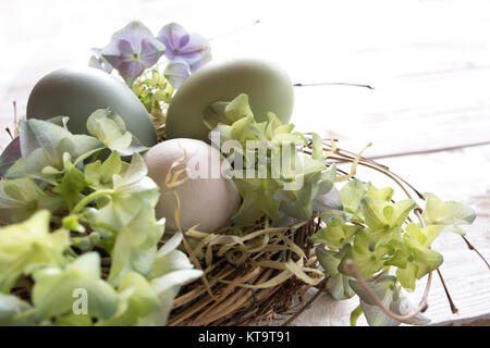 Ausschreibung noch Leben mit Ostern Eier in einem Nest Stockfoto