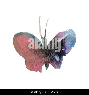 Aquarell Schmetterling auf weißem Hintergrund Vector Illustration Stockfoto