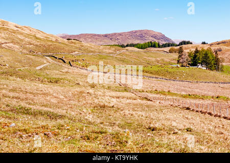 Zu Fuß durch eine große Farm entlang der West Highland Way, Schottland Stockfoto