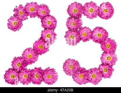 Arabische Zahlen 25, 25, von Blumen der Chrysantheme, auf weißem Hintergrund Stockfoto