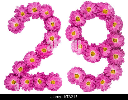Arabische Zahlen 29, 29, von Blumen der Chrysantheme, auf weißem Hintergrund Stockfoto