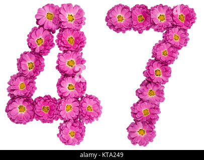 Arabische Zahlen 47, 47, von Blumen der Chrysantheme, auf weißem Hintergrund Stockfoto