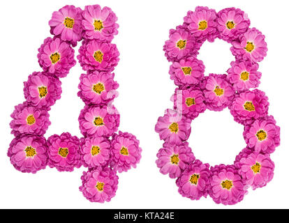 Arabische Zahlen 48, 48, von Blumen der Chrysantheme, auf weißem Hintergrund Stockfoto