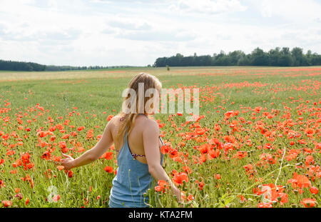 Frau im Mohnfeld Stockfoto