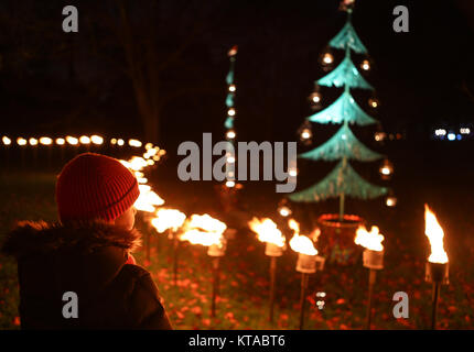 Eine magische beleuchteten Weg durch die Kew herrliche Landschaft nach Einbruch der Dunkelheit, um über eine Million Lichter leuchten. Mit: Atmosphäre, Wo: London, Großbritannien Wann: 21 Aug 2017 Quelle: John rainford/WENN.com Stockfoto