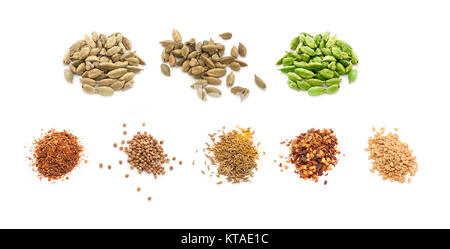 Eingestellt von Gewürzen auf weißem Hintergrund Stockfoto