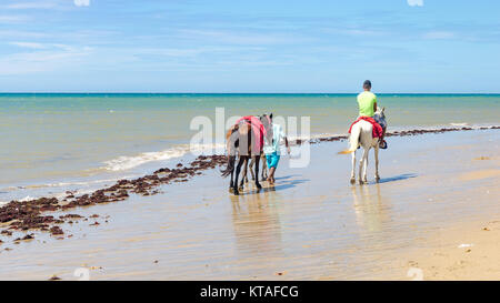 Cumbuco, Brasilien, May 9, 2017: Familie der Pferde reitet für Autovermietung in Cumbuco White Sand Beach in Brasilien Stockfoto