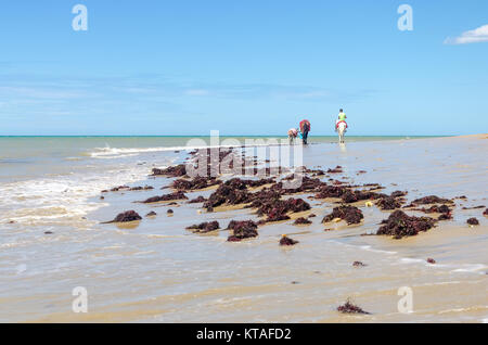 Cumbuco, Brasilien, May 9, 2017: Familie der Pferde reitet für Autovermietung in Cumbuco White Sand Beach in Brasilien Stockfoto