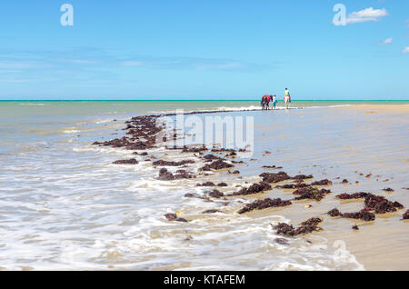 Cumbuco, Brasilien, May 9, 2017: Familie der Pferde reitet für Autovermietung in Cumbuco White Sand Beach in Brasilien Stockfoto