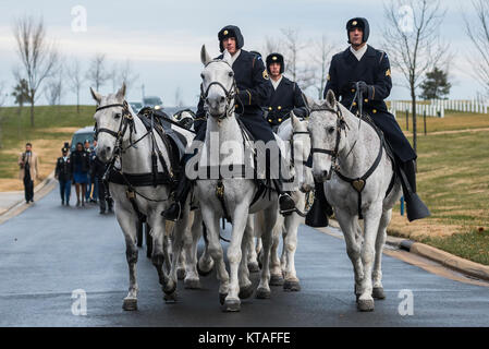 Soldaten, die aus dem 3D-US Infanterie Regiment (Alte Garde) Caisson Platoon beteiligt sich an der vollen Ehren Begräbnis des US Marine Corps Pvt. Archie Newell in Abschnitt 60 von Arlington National Cemetery, Arlington, Va., Nov. 8, 2017. Mit der Firma C, zweiter Tank Battalion, 2nd Marine Division in 1943 zugewiesen, Newell starb, als seine Abteilung versucht, die kleine Insel Betio im Tarawa Atolls aus der Japanischen zu sichern. Obwohl die Schlacht mehrere Tage dauerte, Newell starb am ersten Tag der Schlacht, Nov. 20, 1943. Zunächst wird nach dem Ende von Kampfhandlungen auf Tarawa, US-Mitglieder wurden in einer Reihe von b begraben Stockfoto